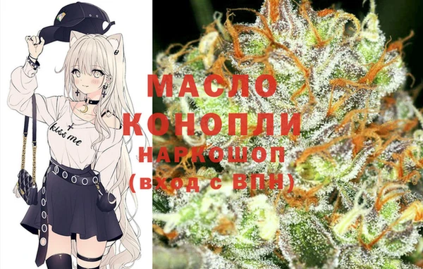крисы Армянск