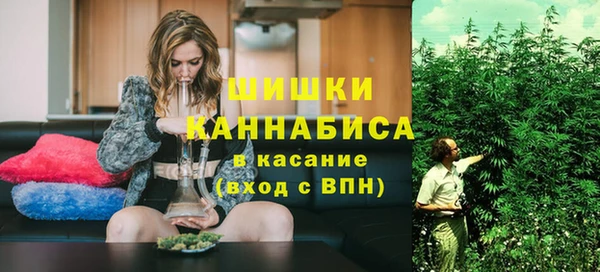 ПСИЛОЦИБИНОВЫЕ ГРИБЫ Арсеньев
