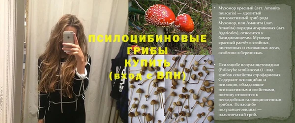 героин Алексин