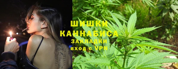 крисы Армянск