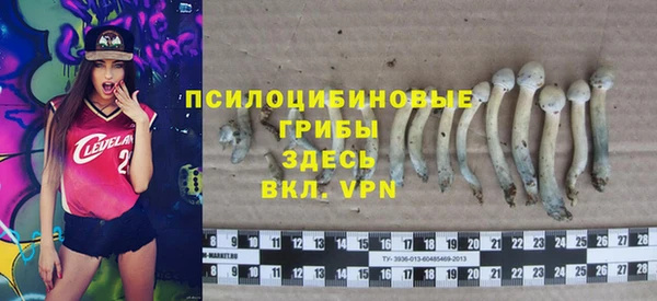 героин Алексин