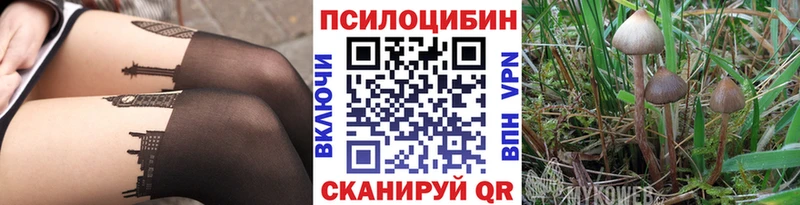 MEGA ТОР  Междуреченск  Галлюциногенные грибы мухоморы 
